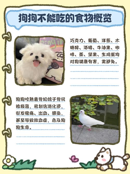 狗狗为什么吃鸽子会死