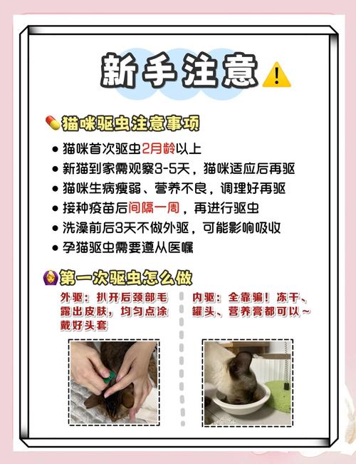 小猫咪第一次驱虫是什么时候