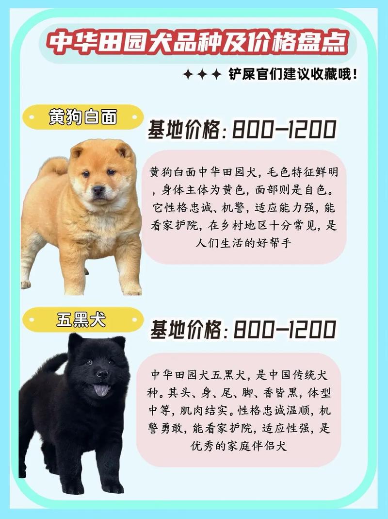 狗狗打疫苗需要收费吗?