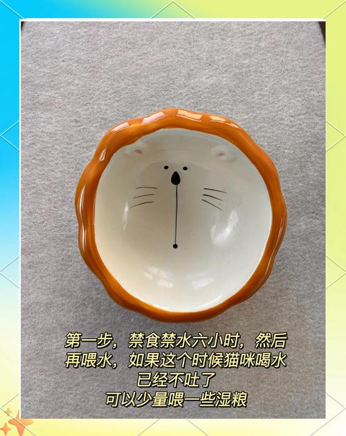 猫咪消化不良呕吐吃什么药