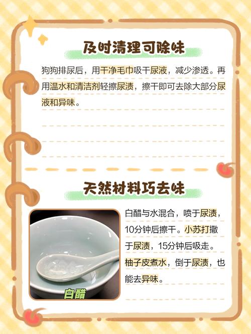 狗的尿骚味大怎么处理