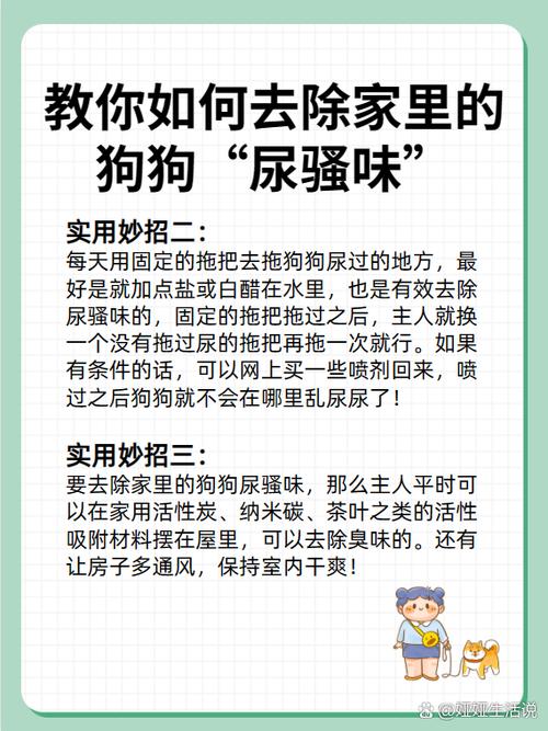 狗的尿骚味去除小妙招