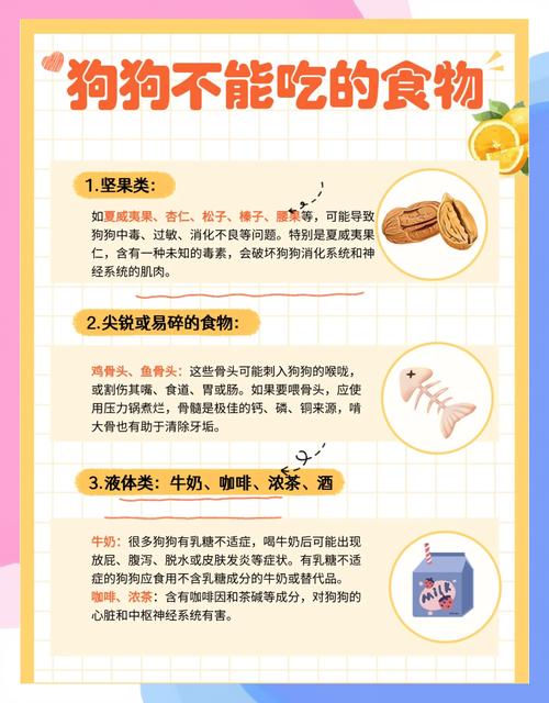 狗狗为什么不能吃核桃