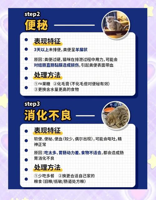 猫多久拉一次屎