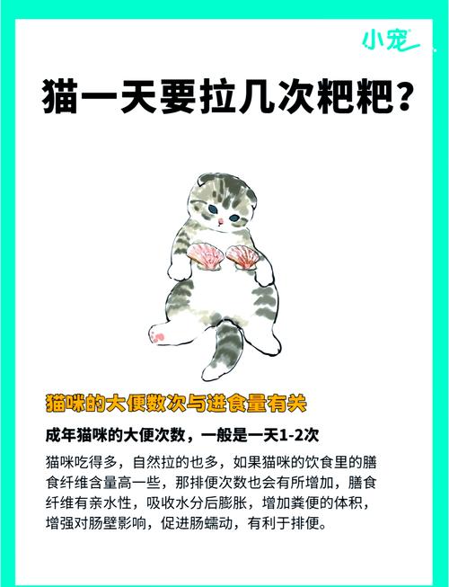 猫咪拉屎一天6次
