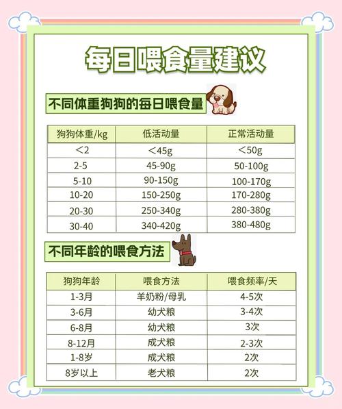小狗一顿吃多少两个月大的小狗一顿吃多少饭量
