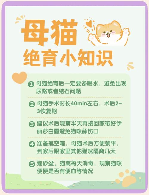 母猫必须断奶才能绝育吗