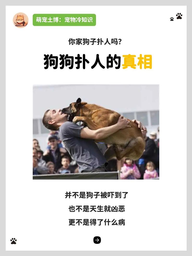 狗狗从主人背后扑人是为什么