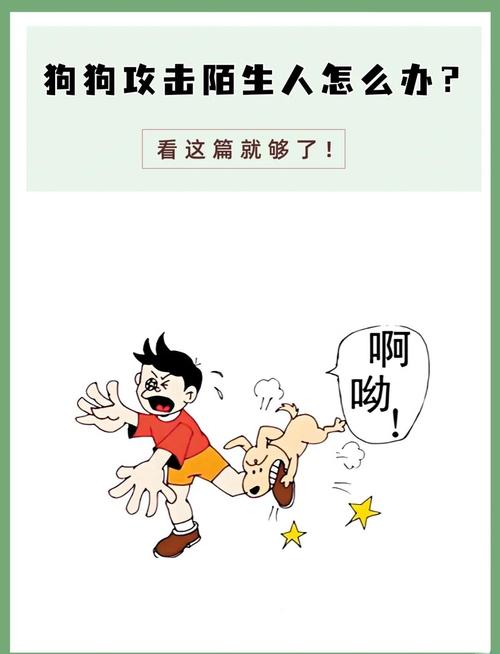 狗狗扑陌生人意味什么