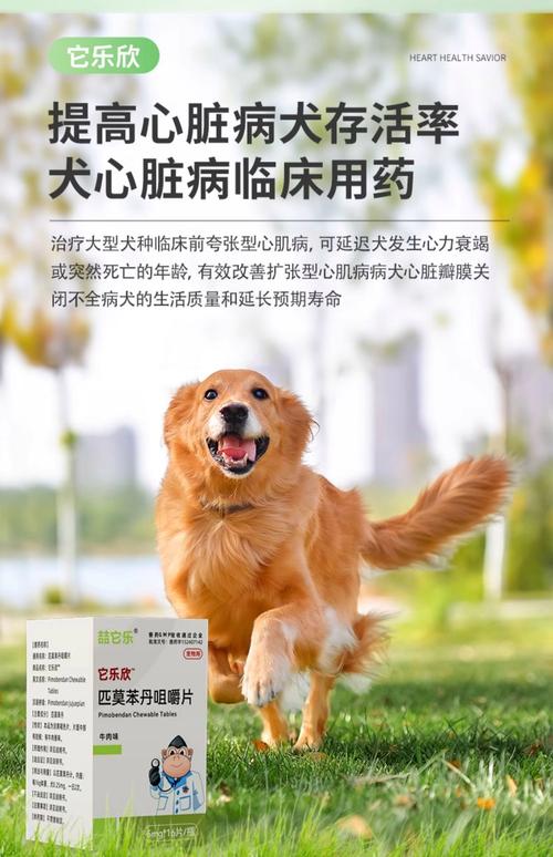 狗狗得了心脏病,请问人吃的药可以给狗狗吃吗?