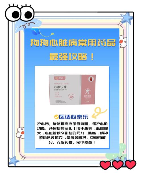 人的止痛药狗狗可以吃吗?