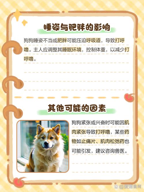 我家狗狗睡觉时打呼噜怎么回事