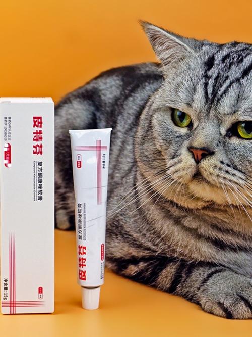 猫咪真菌感染怎么处理?