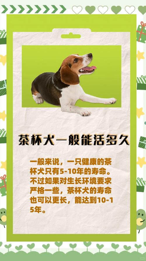 狗狗喝了绿茶饮料会怎么样?