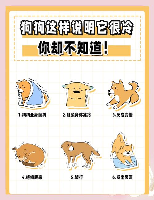 请问我的狗狗浑身发抖是怎么回事