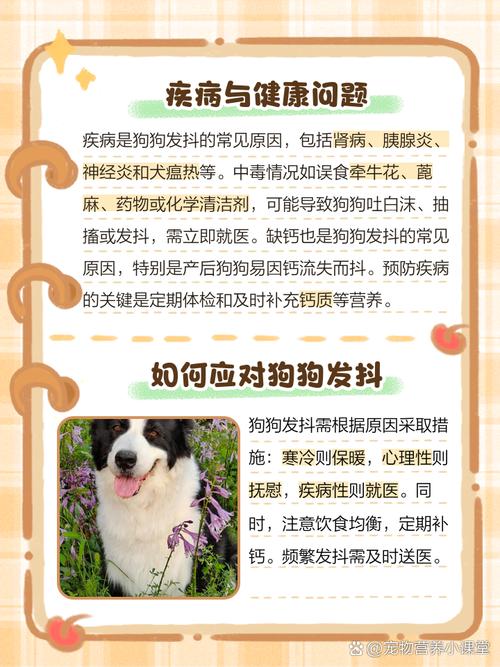 狗浑身发抖是怎么回事