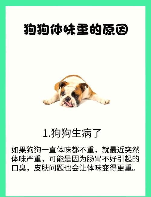 狗狗可以喝绿豆汤吗?
