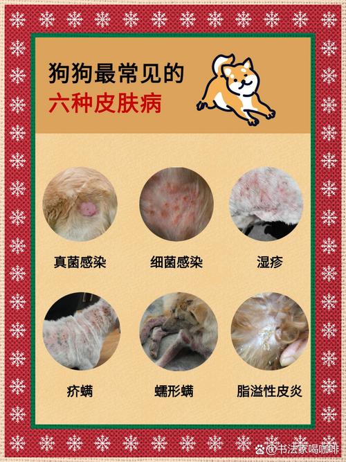 狗狗几种疾病会传染给人类