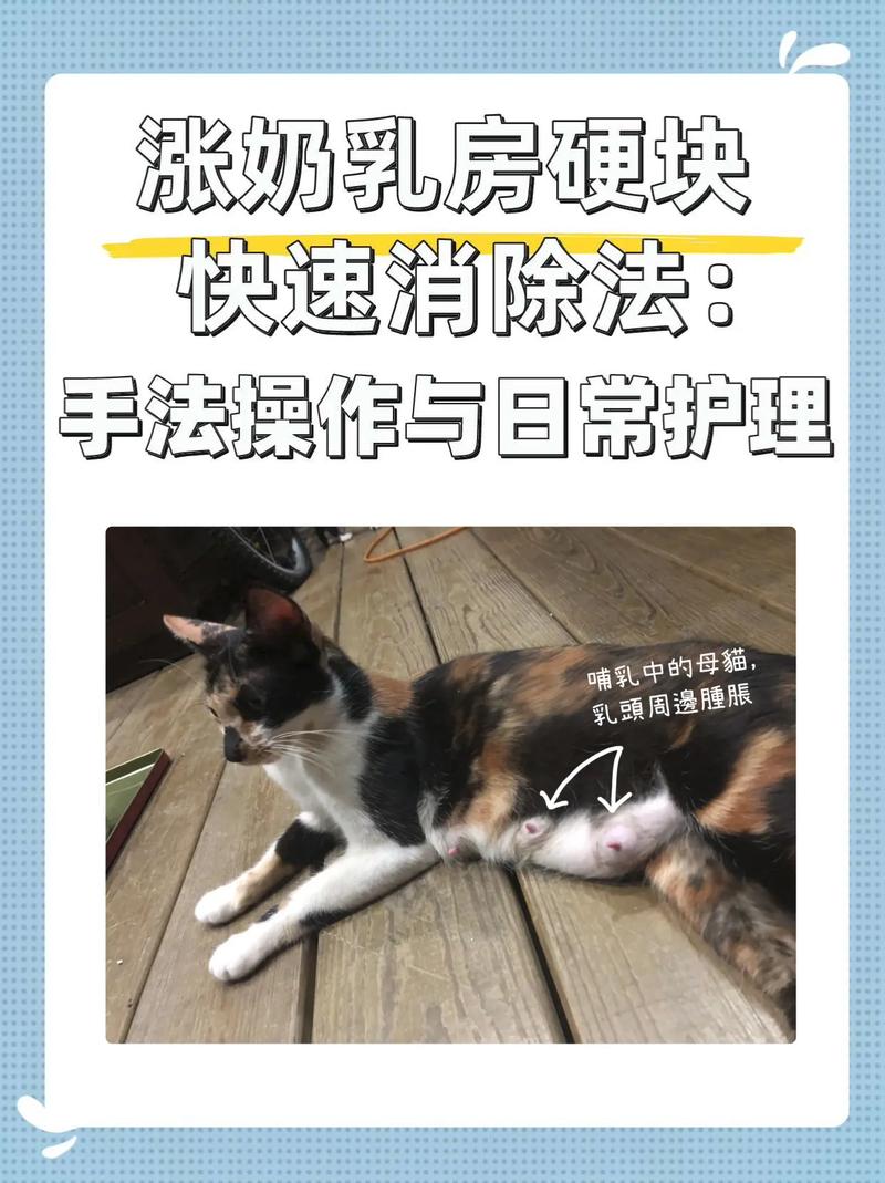 猫涨奶不管自己能好吗