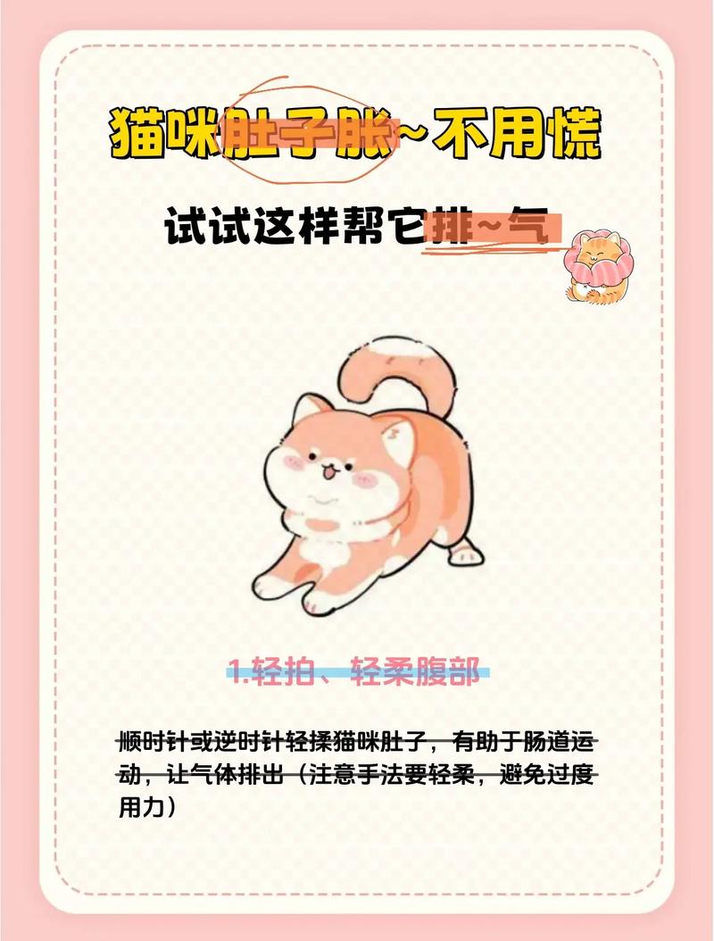 猫咪肠道积气排不出来,该怎么处理?