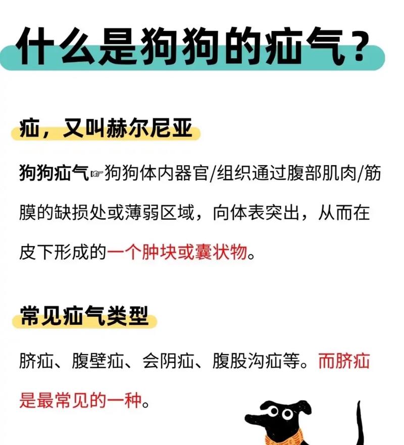 狗狗得了疝气怎么办?