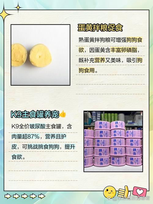 狗粮没了,可以用什么代替啊?