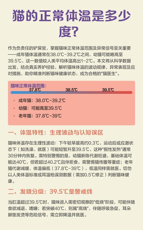 猫咪的正常体温是多少?