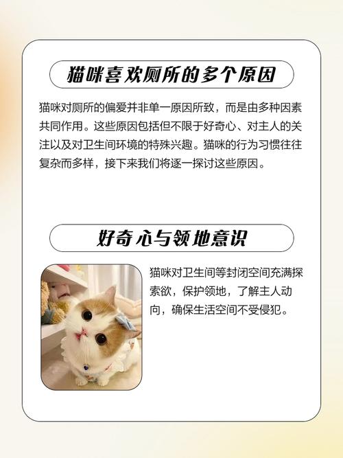 猫咪频繁去猫厕所,且每次去的时间都很长,是怎么了?