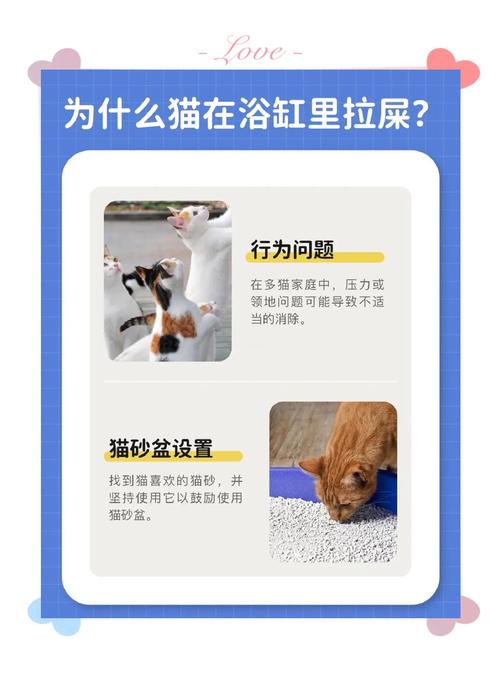 为什么猫喜欢在卫生间里拉粑粑?