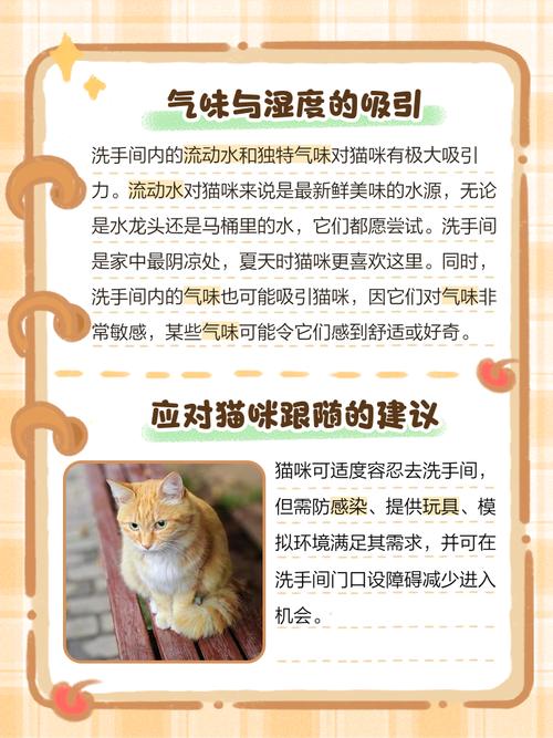 猫为什么喜欢去厕所