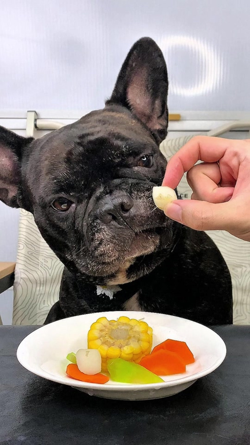 狗狗能吃腰果吗