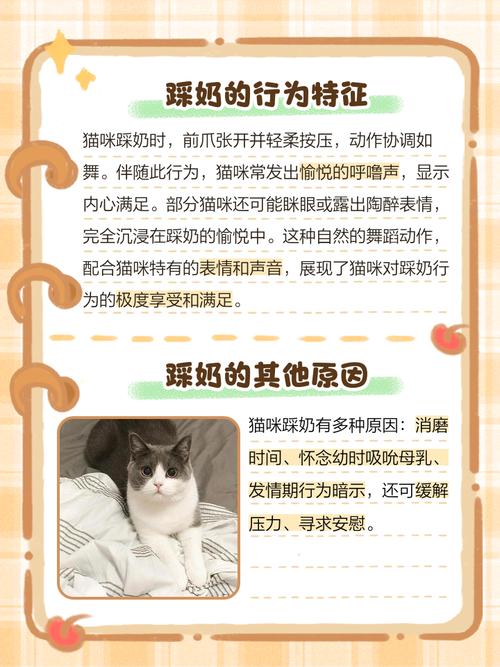 为什么我家猫喜欢舔着我衣服踩奶呀?
