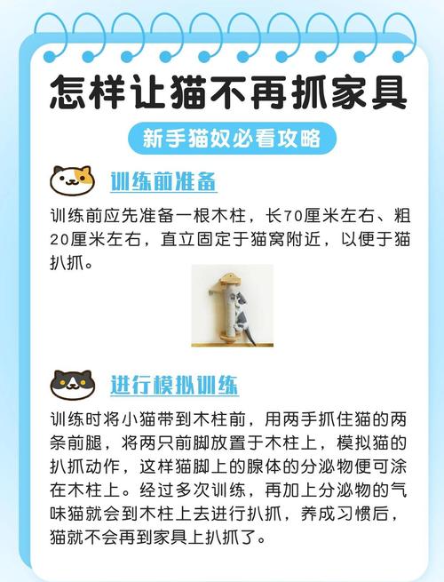 猫咪在家经常抓沙发,主人该怎么办呢?