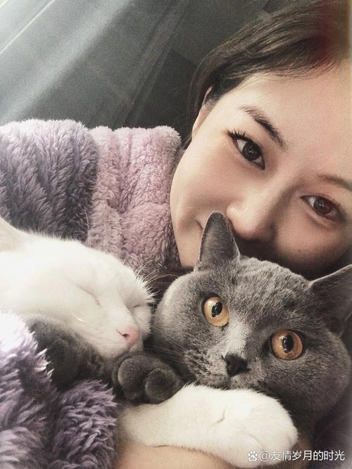 主人白天上班猫咪自己在家可以吗