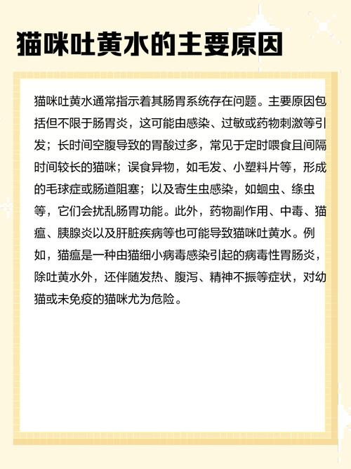 猫咪吐黄水、不吃不喝是怎么回事?