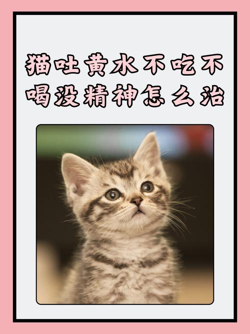 猫吐黄水几天能自愈
