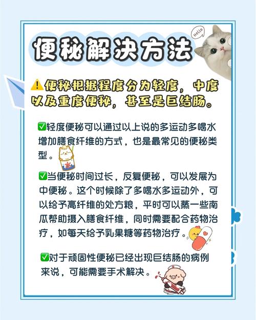 猫绝育最晚几天不拉屎正常