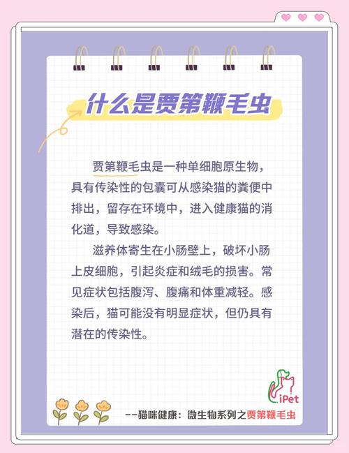 猫咪体内驱虫用什么药比较好