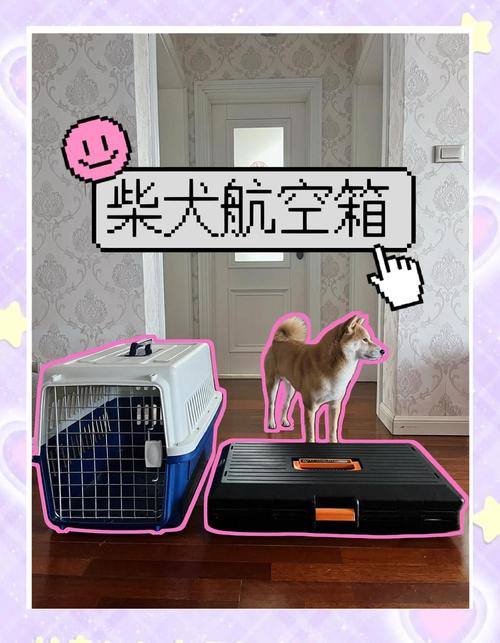 狗狗可以坐地铁吗