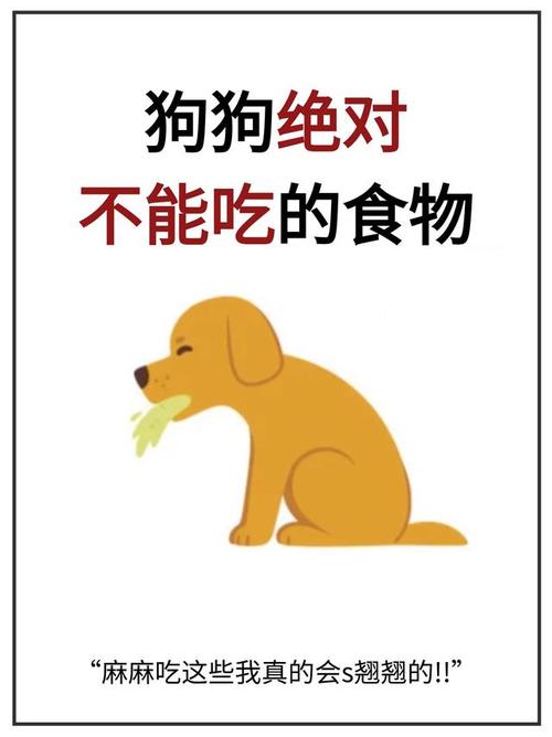 狗狗为什么不能吃泡面