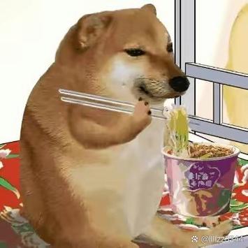 狗狗想吃泡面吗为什么