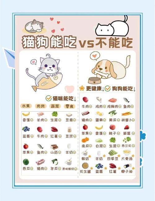 请问狗狗能吃方便面吗