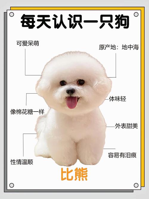 从哪看出土狗能长多大