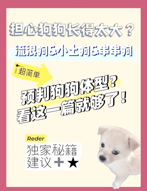 怎么样判断狗狗能长多大?