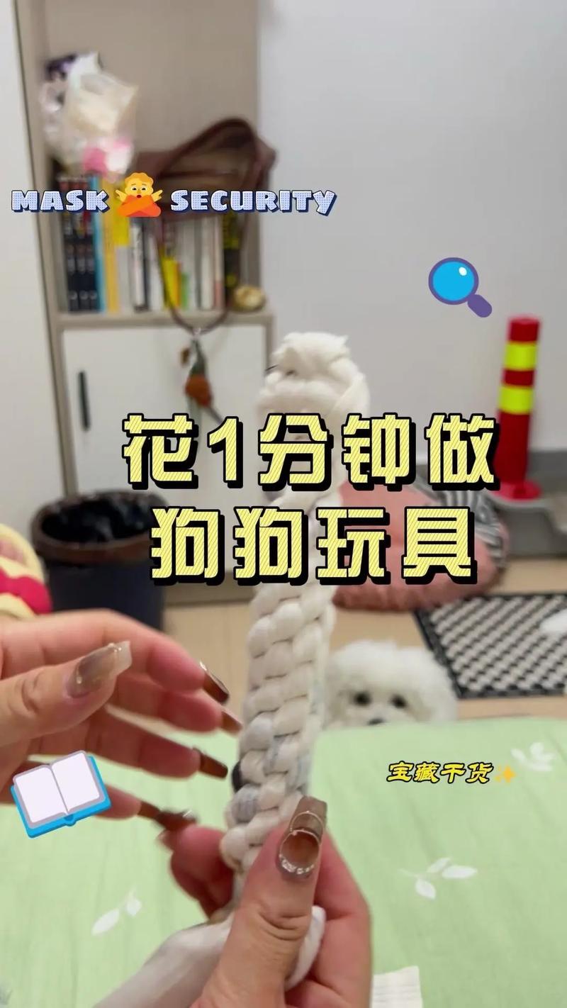 如何自制狗狗玩具,在狗狗成功断奶以后开始训练