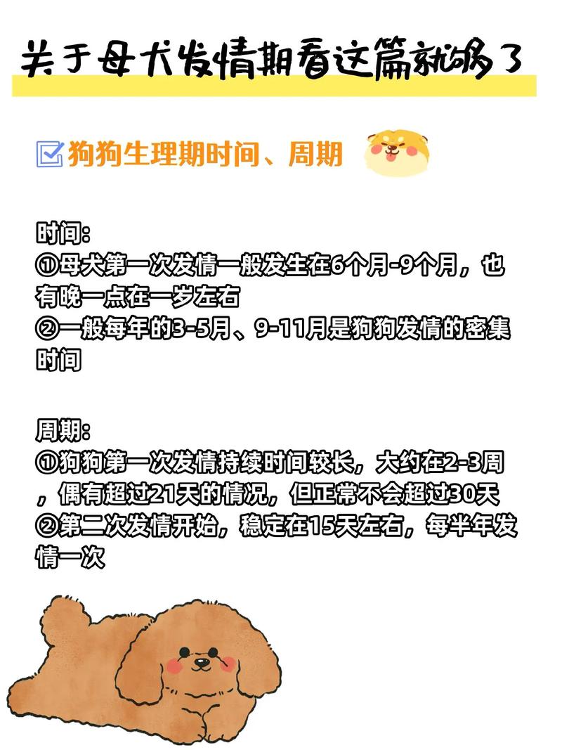 狗狗尴尬期是啥意思