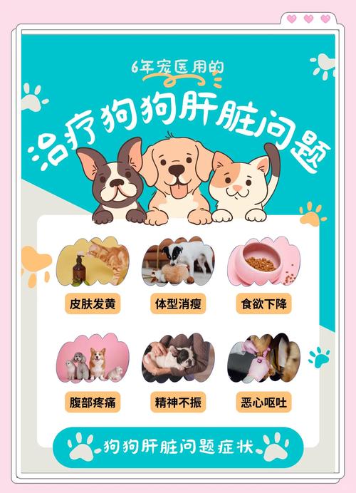 狗狗黄疸肝炎怎么治