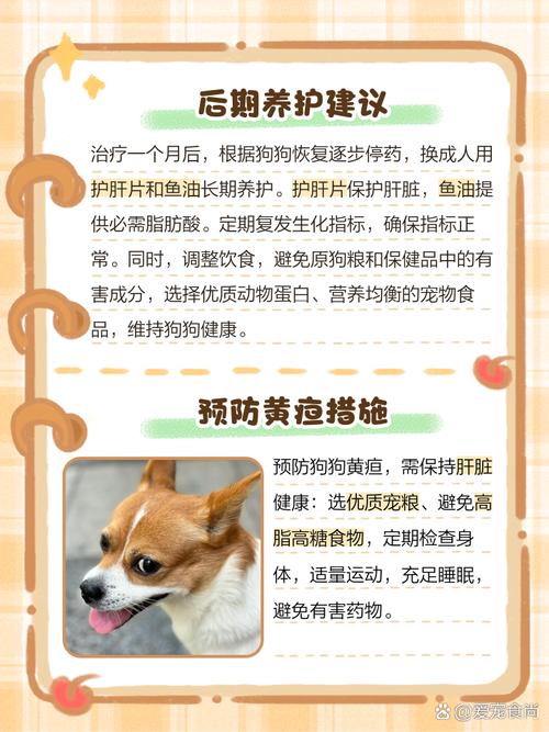 狗狗黄疸怎么治疗