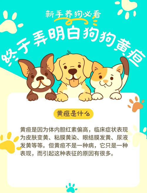 狗狗得黄疸死亡率是否很高