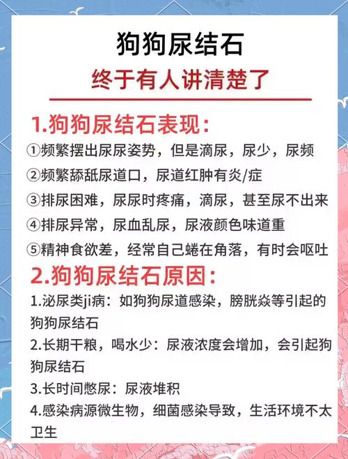 狗狗得了尿结石的症状与治疗